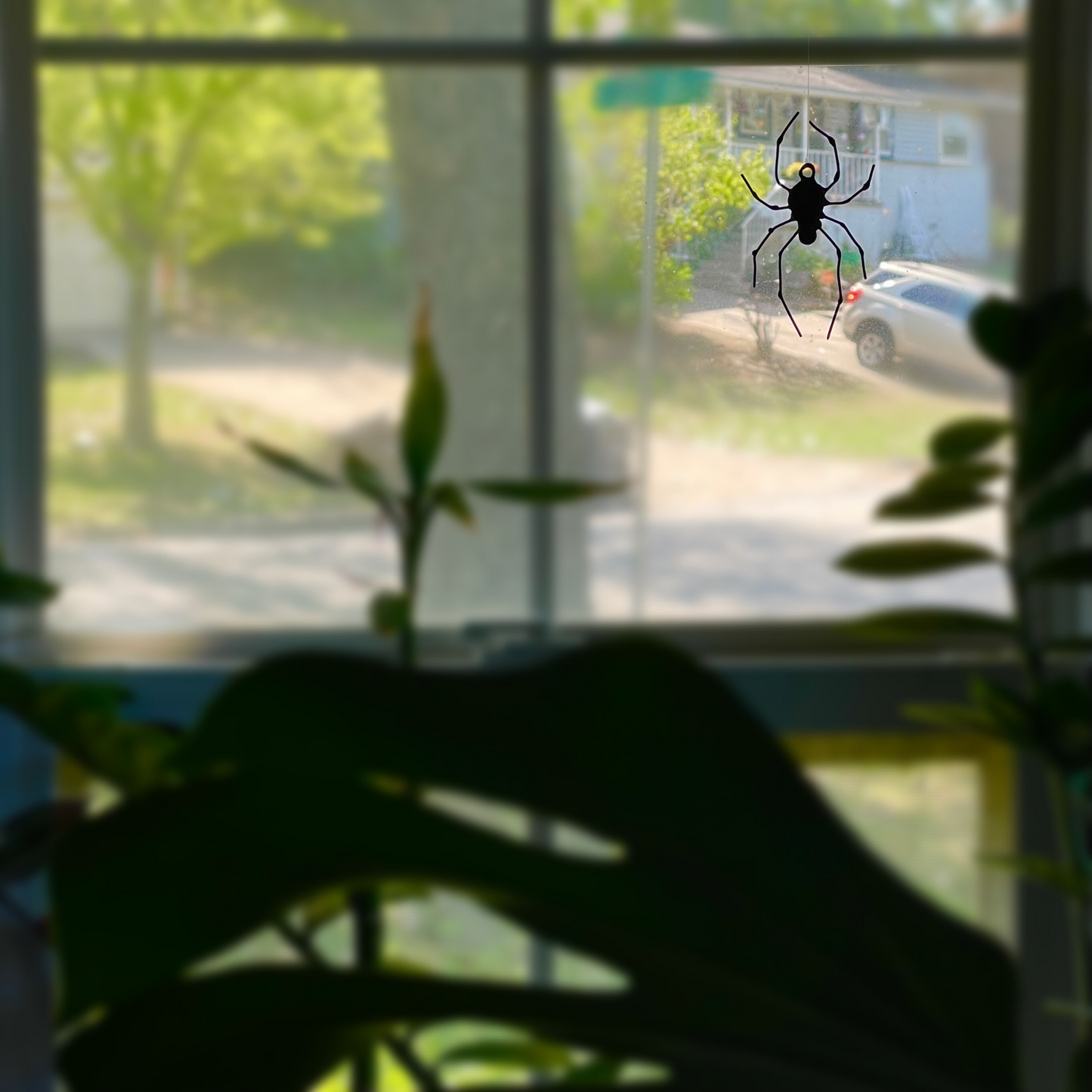 Stained Glass Black Widow Spider Pal