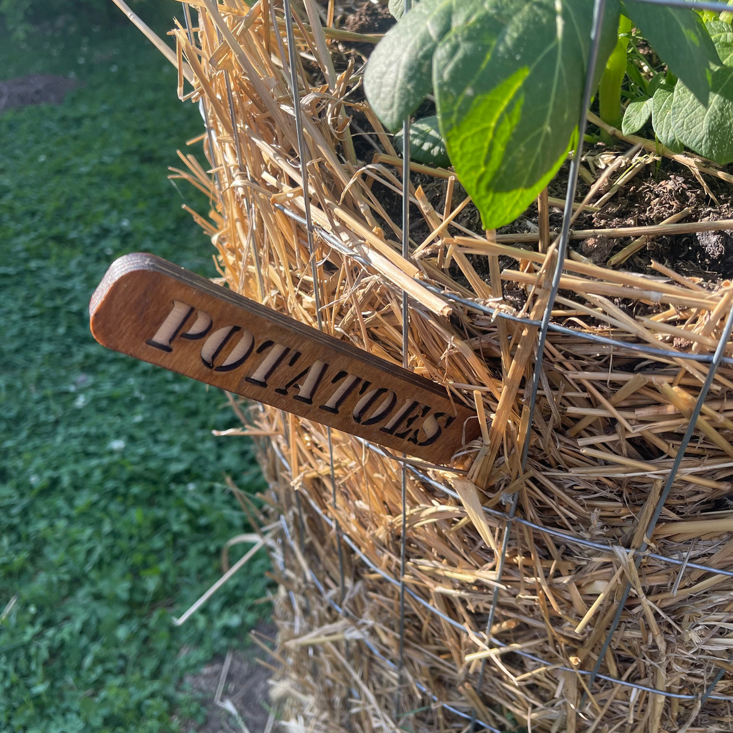 Custom Mega Garden Stakes