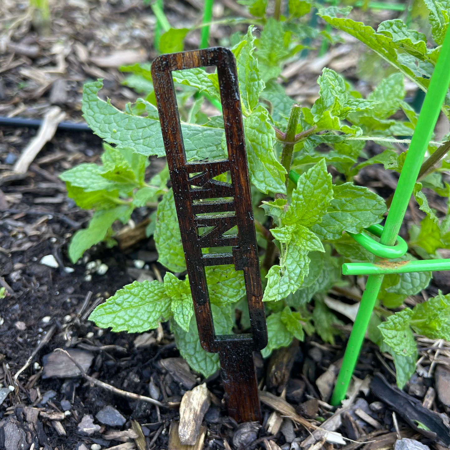 Custom Garden Stakes