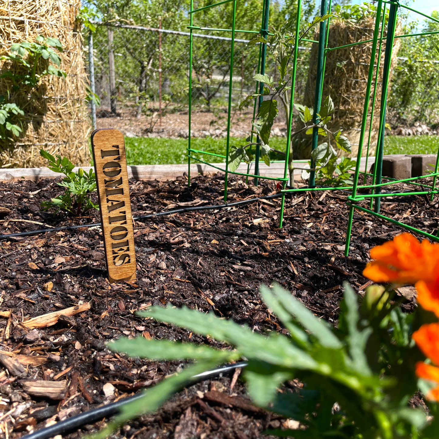 Custom Mega Garden Stakes