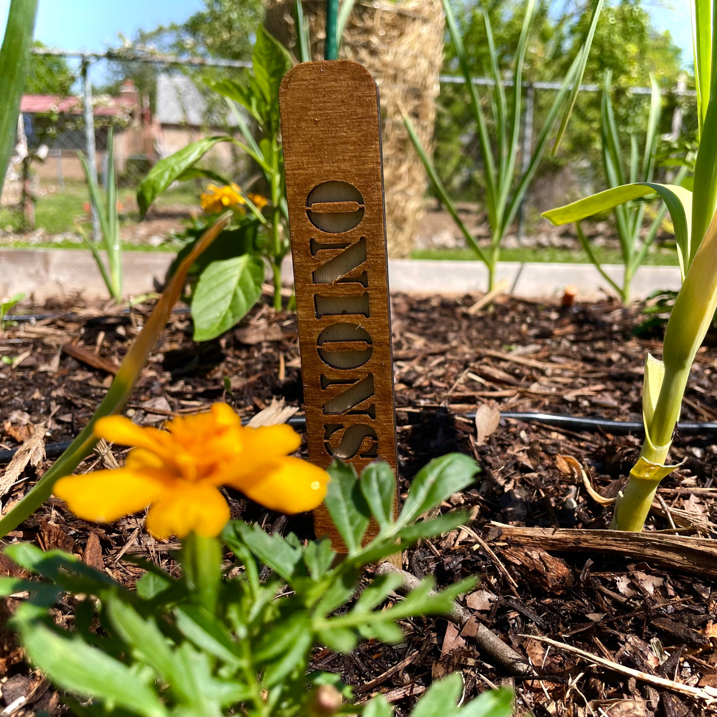 Custom Mega Garden Stakes